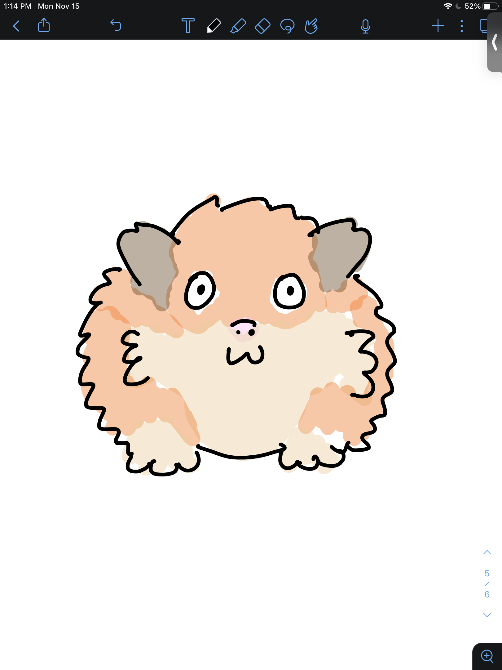 A guinea pig